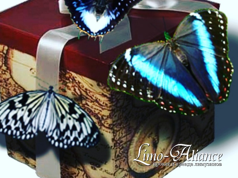 Живой сюрприз. Живые бабочки в подарок. Коробочка с живыми бабочками. Бабочки живые в подарок в коробке. Бабочки в коробке подарок.